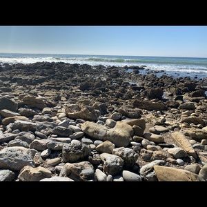 Meet your Posher, Dave